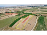 BEYŞEHİR-KONYA YOLUNA YAKIN 3.105M2 TARIM ARAZİSİ