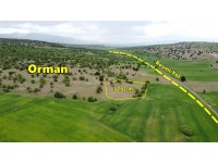 KONYA / MERAM / KİLİSTRA ORMANA CEPHE 3.792 m² MÜSTAKİL TAPU TARLA