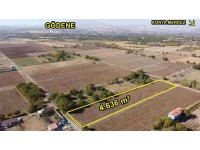 KONYA / MERAM / GÖDENE 4.636 m² SATILIK HİSSELİ TARLA