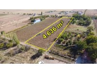 KONYA / MERAM / GÖDENE 4.636 m² SATILIK HİSSELİ TARLA