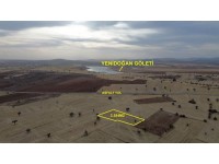 KONYA / BEYŞEHİR / YENİDOĞAN-SARAYYOLU 3.384 m² MÜSTAKİL TAPU TARLA