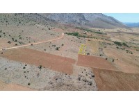 KARAMAN / MERKEZ / BAŞKIŞLA DA 3.500 m² MÜSTAKL TARLA