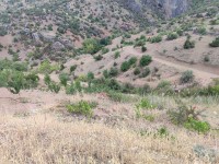 KONYA HADİM GELMEZDİ MÜSTAKİL TAPULU YERİMİZ SATILIKTIR