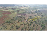 HADİM AŞAĞIEŞENLERDE 2.341 M2 MÜSTAKİL TAPULU TARLA