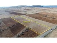 ÇUMRA APASARAYCIK DA 10.560 M2 MÜSTAKİL TAPULU TARLA