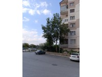 KONYA SELÇUKLU FATİH IŞIKLAR MAH.3+1 KELEPİR 110 M2 DAİRE ACİL SATILIK