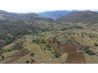 HADİM AŞAĞIEŞENLER DE 2.329 M2 MÜSTAKİL TAPULU BAĞ