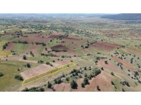 BOZKIR BOYALI DA 1.336 M2 MÜSTAKİL TAPULU ARAZİ