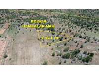 BOZKIR HAMZALARDA 1.931 M2 MÜSTAKİL TAPULU BAĞ