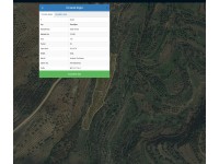 İKONİYUM'DAN AYDIN BOZDOĞAN YEŞİL YENİCEDE 8216 M2 ZEYTİN TARLASI
